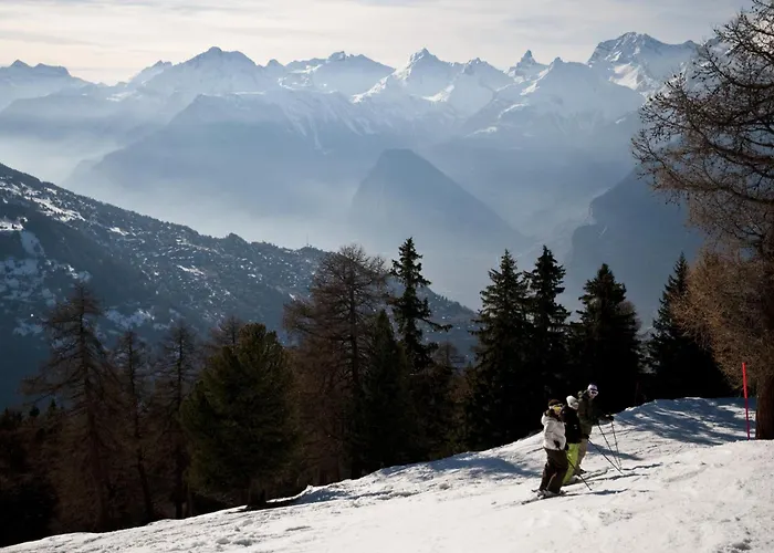 Magrappe M 557 - Lift 12 Pers * Veysonnaz